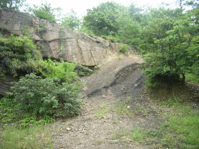 米ノ山断層及び石炭層の露頭