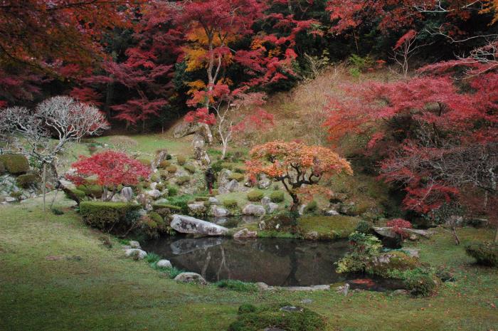 藤江氏魚楽園