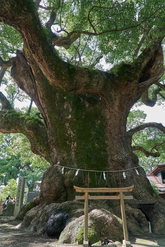 宇美八幡宮の安産信仰に関する伝説地